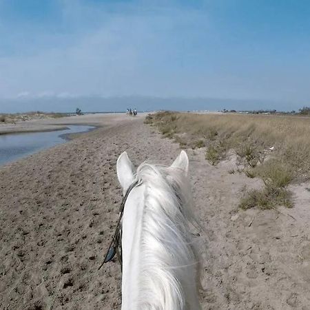 "Le Nature" Camargue Jardin Arles Esterno foto