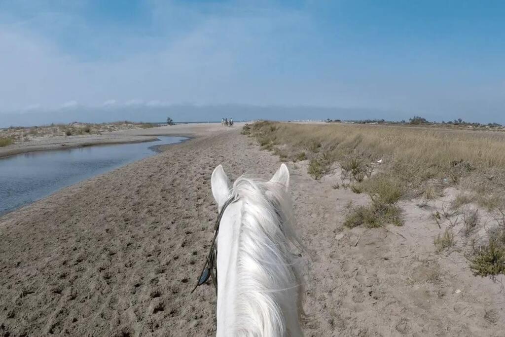 "Le Nature" Camargue Jardin Arles Esterno foto
