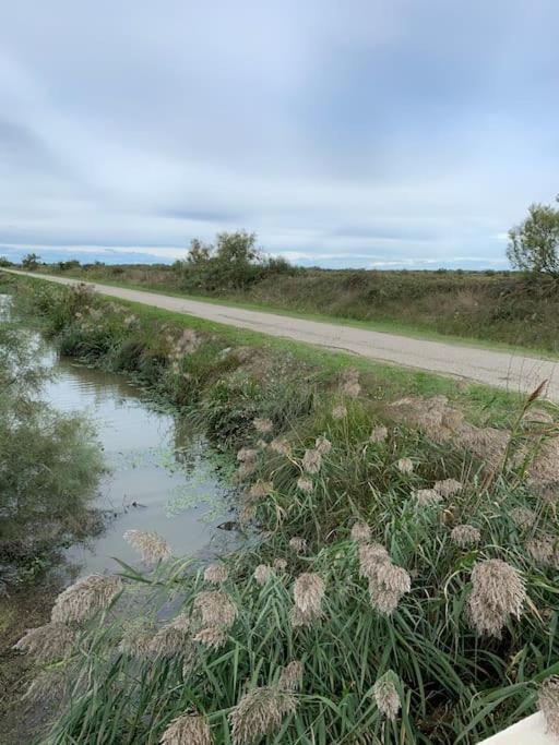 "Le Nature" Camargue Jardin Arles Esterno foto